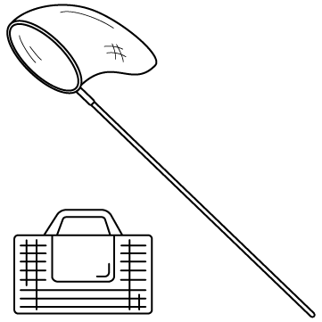 虫取り網とカゴのサムネイル