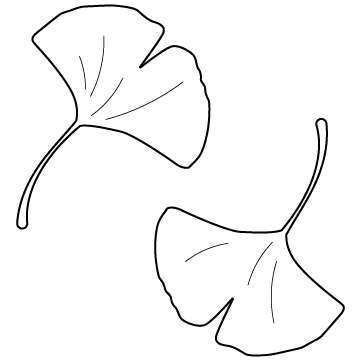 イチョウ（銀杏）の葉のサムネイル
