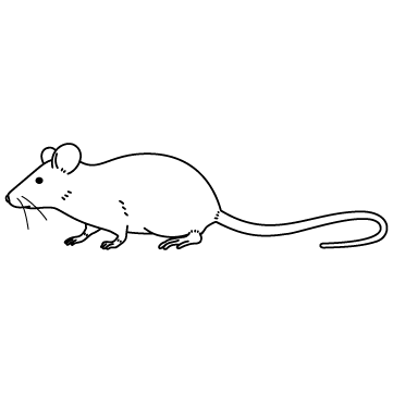 ネズミのサムネイル